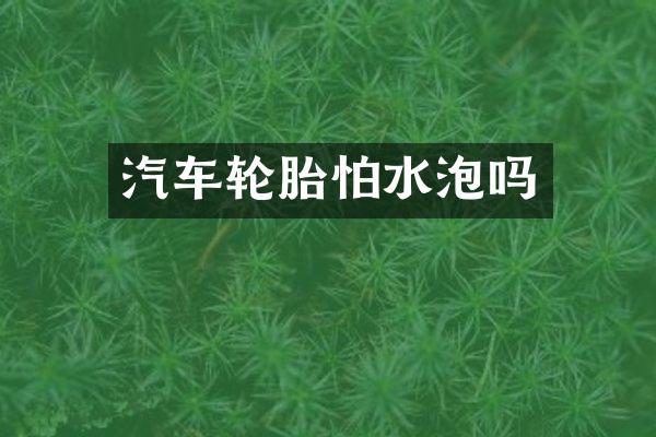 汽车轮胎怕水泡吗