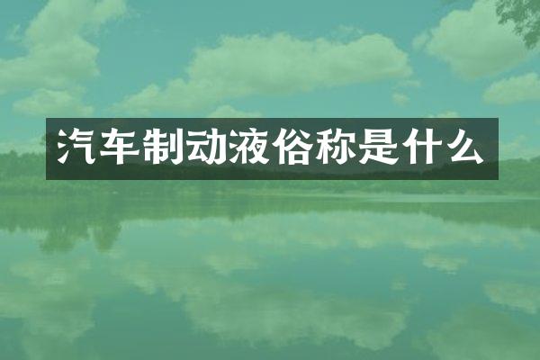 汽车制动液俗称是什么