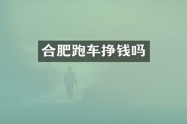 合肥跑车挣钱吗