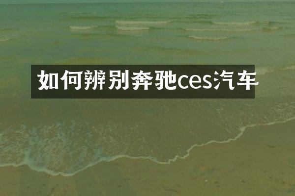 如何辨别奔驰ces汽车