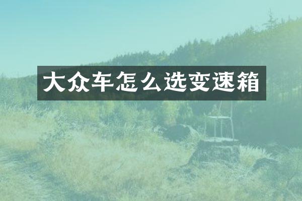 大众车怎么选变速箱