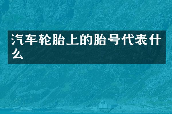 汽车轮胎上的胎号代表什么