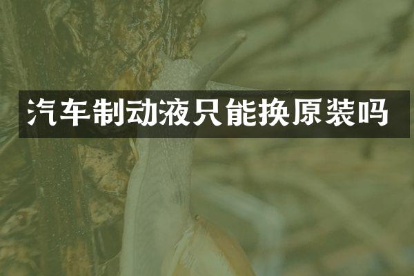 汽车制动液只能换原装吗