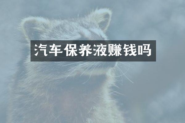 汽车保养液赚钱吗