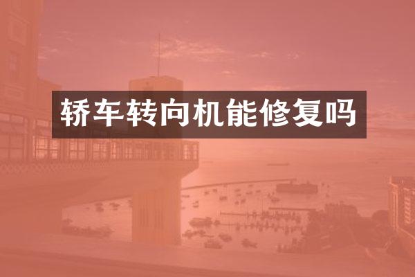 轿车转向机能修复吗
