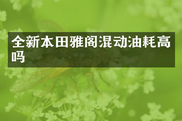 全新本田雅阁混动油耗高吗