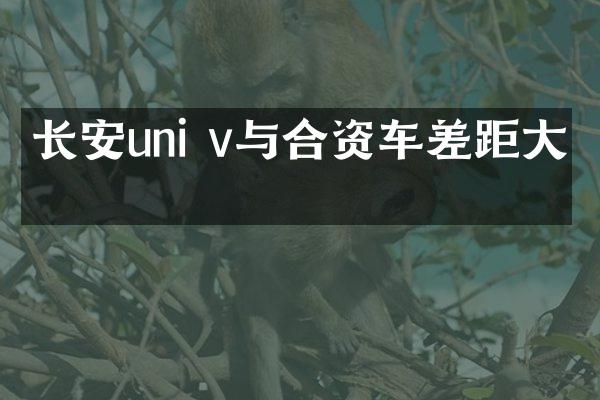 长安uni v与合资车差距大吗