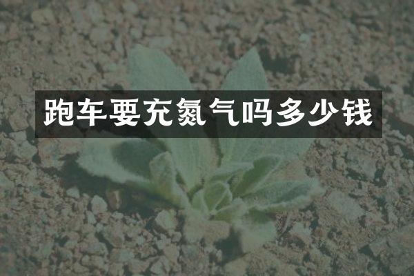 跑车要充氮气吗多少钱