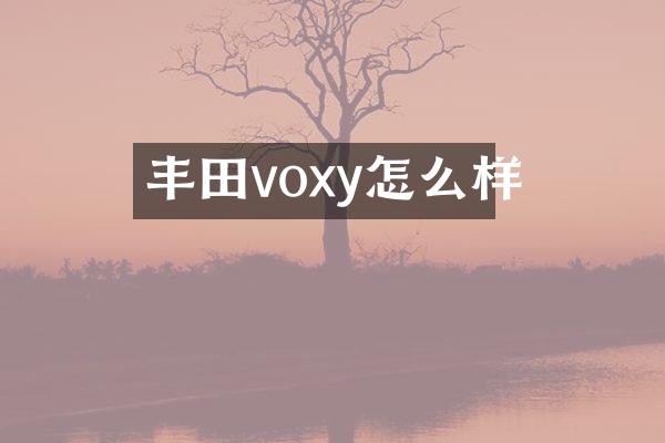 丰田voxy怎么样
