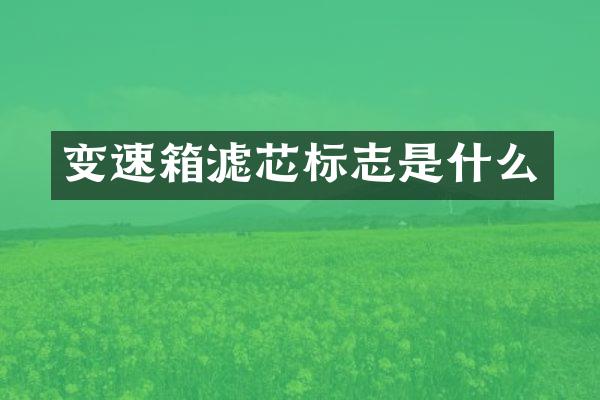变速箱滤芯标志是什么