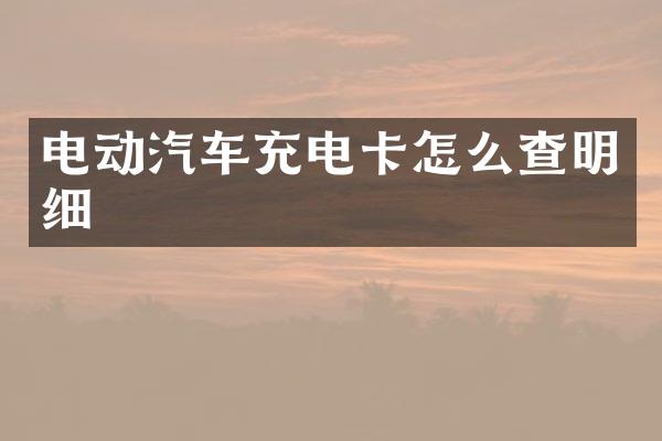电动汽车充电卡怎么查明细