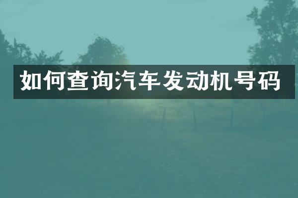 如何查询汽车发动机号码