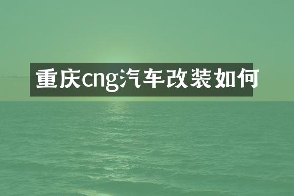 重庆cng汽车改装如何