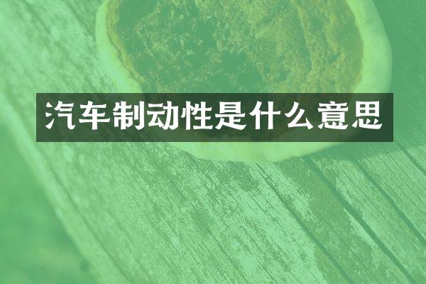 汽车制动性是什么意思