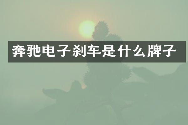 奔驰电子刹车是什么牌子