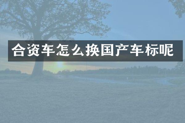合资车怎么换国产车标呢