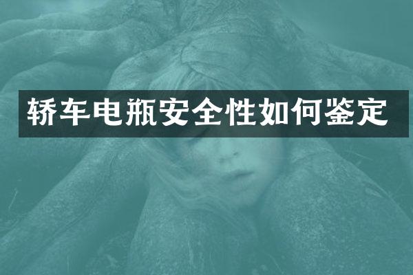 轿车电瓶安全性如何鉴定