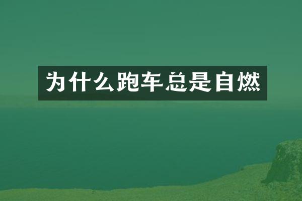 为什么跑车总是自燃