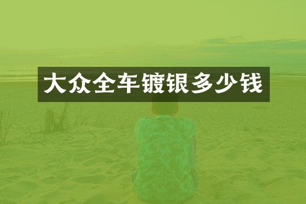 大众全车镀银多少钱