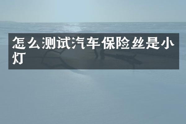 怎么测试汽车保险丝是小灯