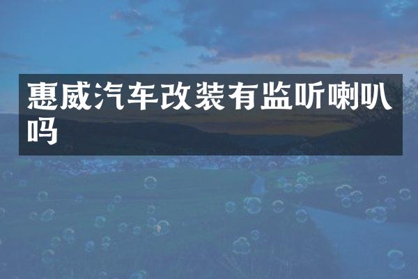 惠威汽车改装有喇叭吗