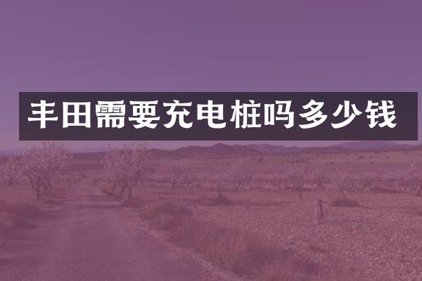 丰田需要充电桩吗多少钱