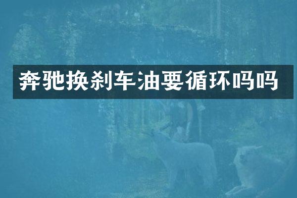 奔驰换刹车油要循环吗吗