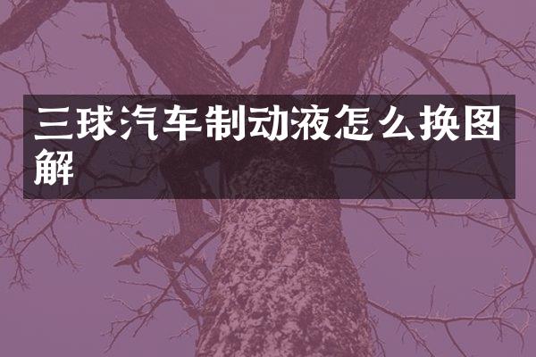 三球汽车制动液怎么换图解