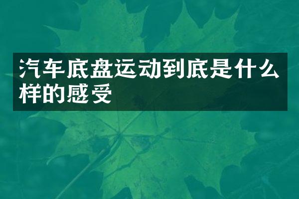 汽车底盘运动到底是什么样的感受