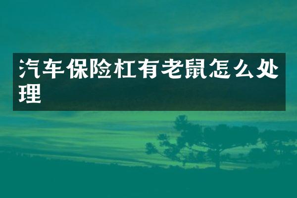 汽车保险杠有老鼠怎么处理