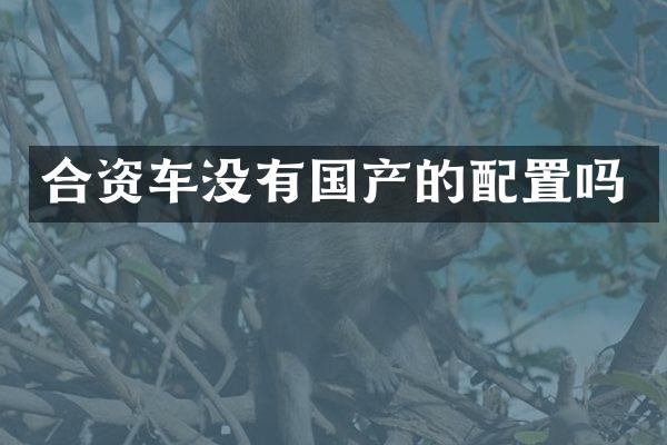 合资车没有国产的配置吗