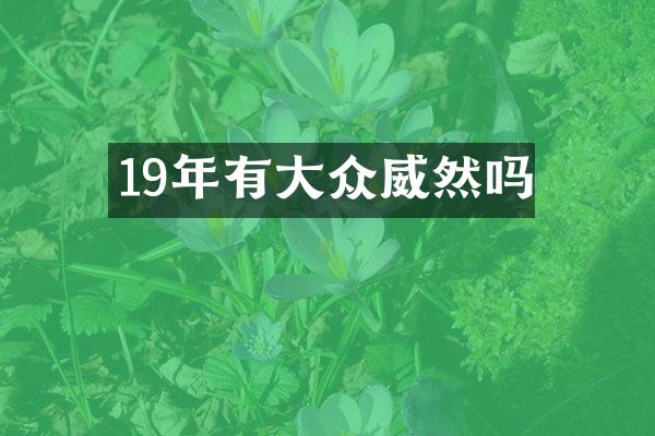 19年有大众威然吗