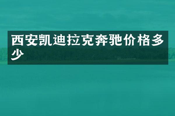 西安凯迪拉克奔驰价格多少