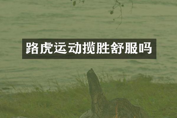 路虎运动揽胜舒服吗
