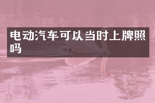 电动汽车可以当时上牌照吗