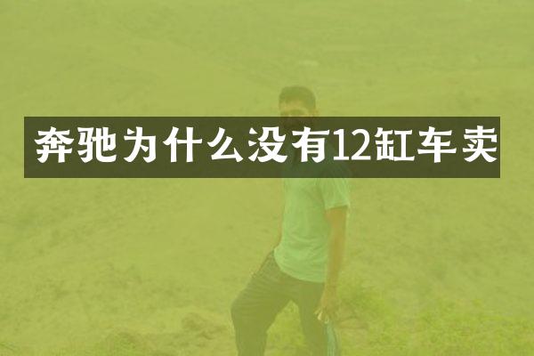 奔驰为什么没有12缸车卖