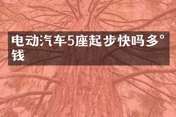 电动汽车5座起步快吗多少钱