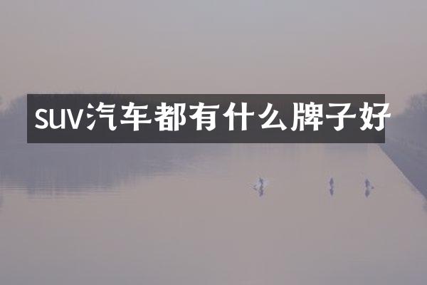 suv汽车都有什么牌子好