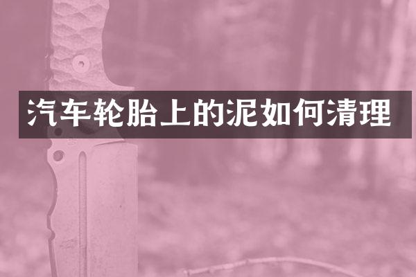 汽车轮胎上的泥如何清理