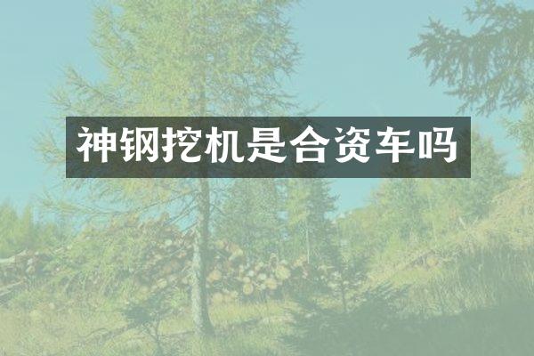 神钢挖机是合资车吗