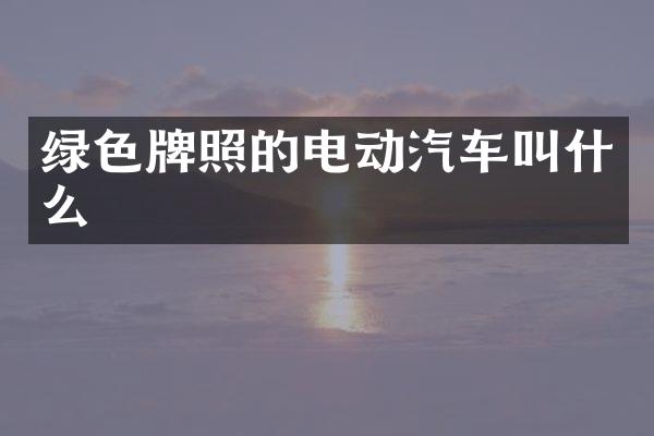 绿色牌照的电动汽车叫什么