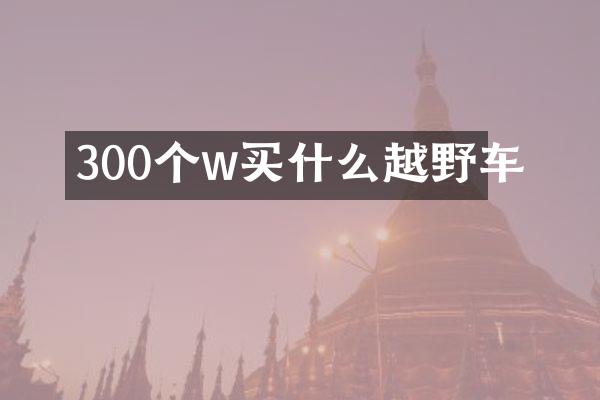 300个w越野车