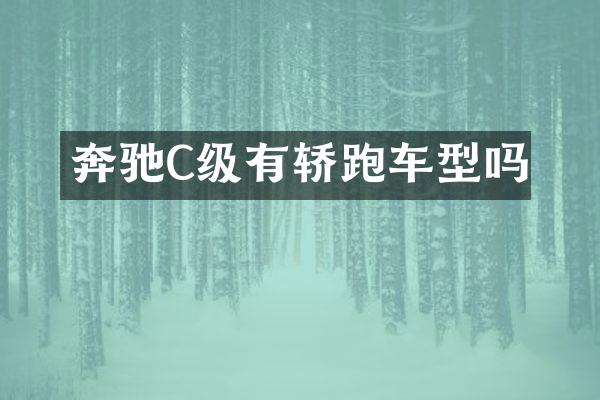 奔驰C级有轿跑车型吗