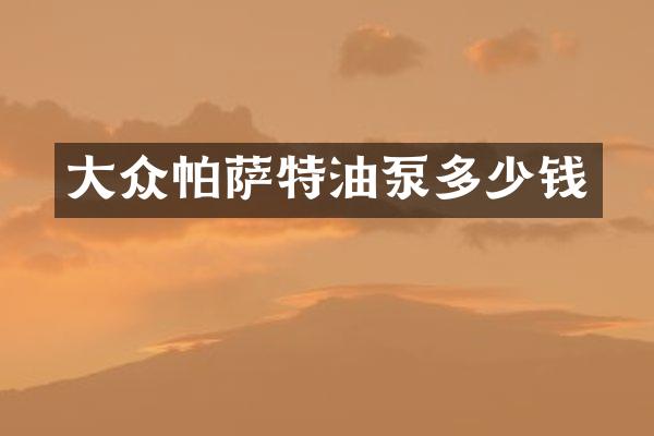 大众帕萨特油泵多少钱