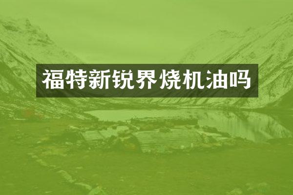 福特新锐界烧机油吗