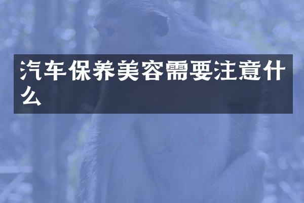 汽车保养美容需要注意什么