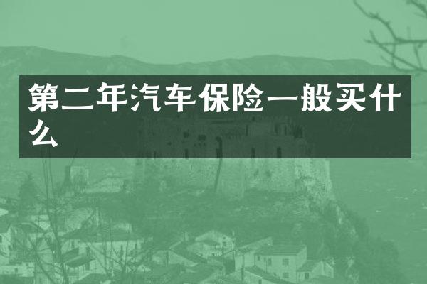 第二年汽车保险一般