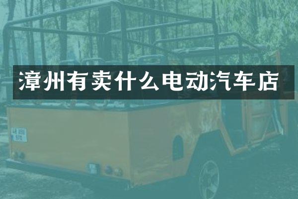 漳州有卖什么电动汽车店