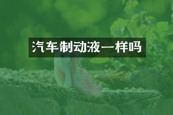 汽车制动液一样吗