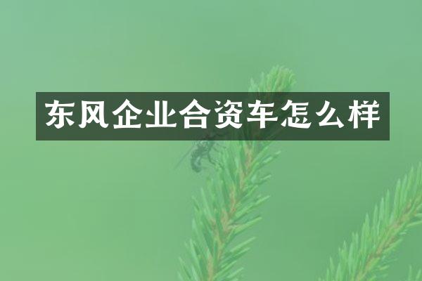东风企业合资车怎么样